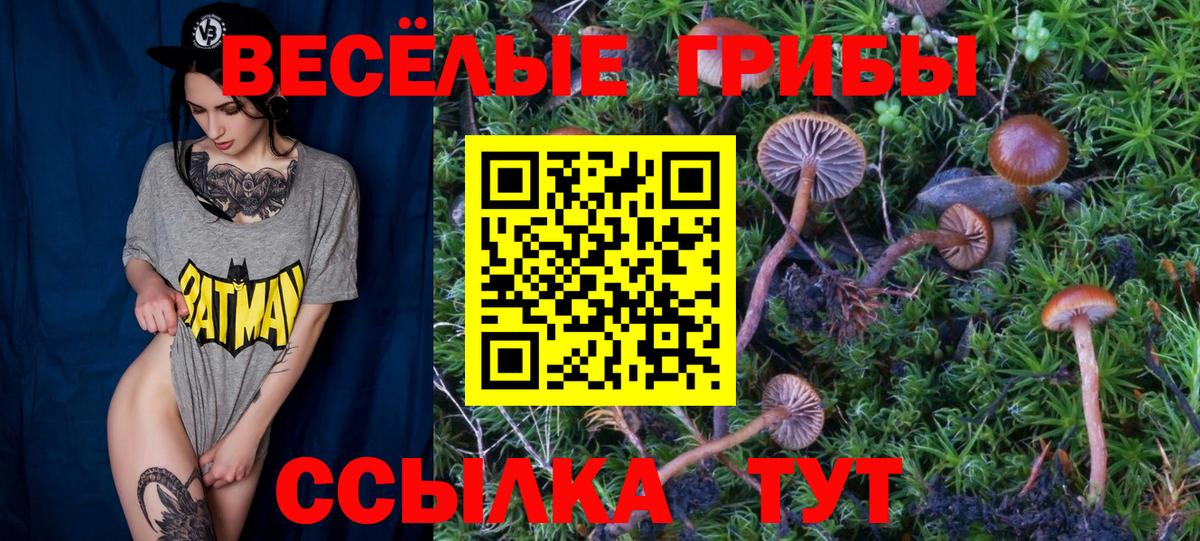 Чебаркуль  Галлюциногенные грибы MAGIC MUSHROOMS  Псилоцибиновые грибы мухоморы  Вход с VPN 